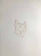 Load image into Gallery viewer, Bocs o Gathod/A Box of Cats - PAG / POA