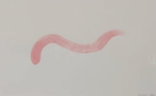 Load image into Gallery viewer, Byw fel Cath (Dod yn Arall) / Living Like a Cat (Becoming Other)