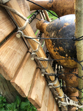 Load image into Gallery viewer, Canu’r Coed / Singing of the Trees