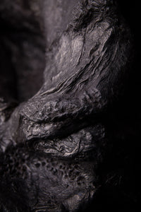 Wedi'i gario gan y Bryniau / Carried by the Hills - Print