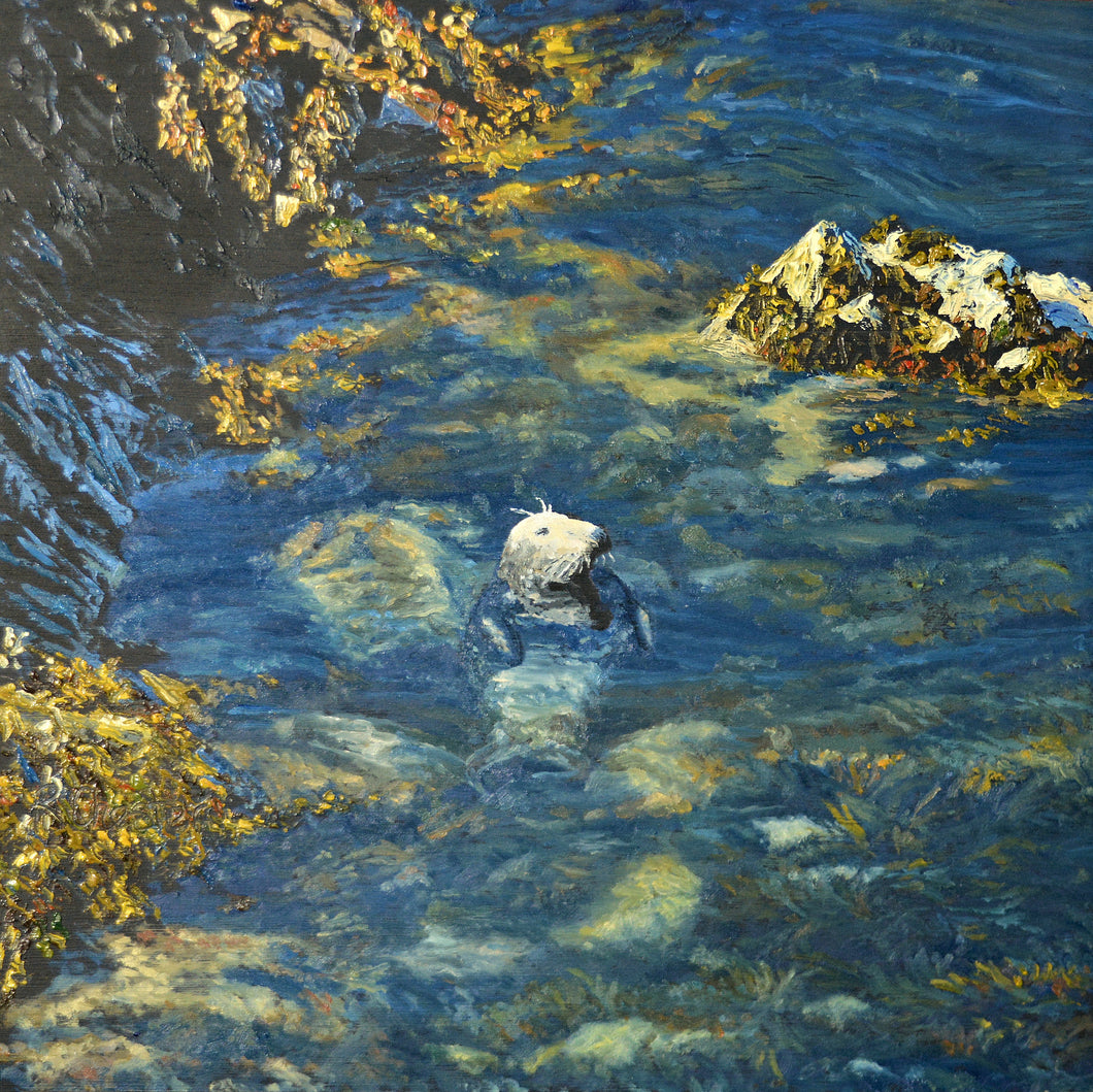 Morlo Llwyd / Grey Seal