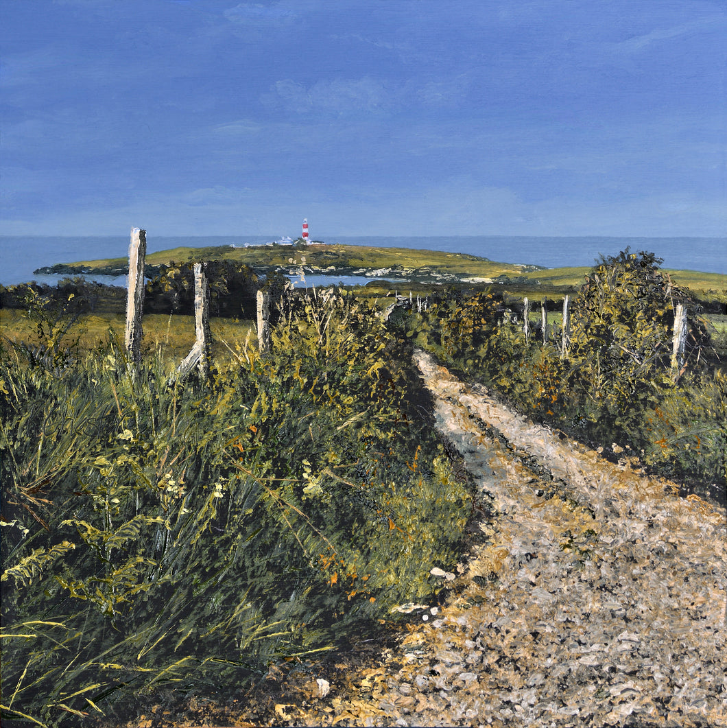 Trwy’r caeau / Through the fields
