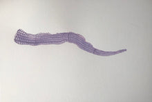 Load image into Gallery viewer, Byw fel Cath (Dod yn Arall) / Living Like a Cat (Becoming Other)
