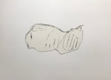 Load image into Gallery viewer, Bocs o Gathod/A Box of Cats - PAG / POA
