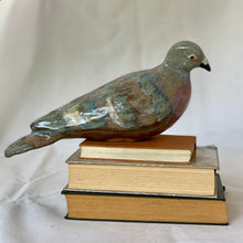 Load image into Gallery viewer, Maggie alarus yn aros am gymar godidog / Mournful Maggie waiting for a magnificent mate
