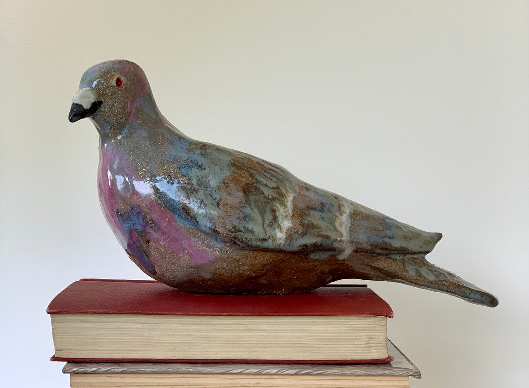 Primrose gryf ac annibynnol - llygad craff am y bechgyn / Strong and independent Primrose - a sharp eye out for the boys