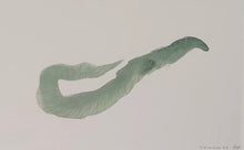 Load image into Gallery viewer, Byw fel Cath (Dod yn Arall) / Living Like a Cat (Becoming Other)
