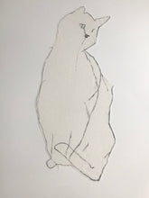 Load image into Gallery viewer, Bocs o Gathod/A Box of Cats - PAG / POA
