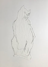 Load image into Gallery viewer, Bocs o Gathod/A Box of Cats - PAG / POA
