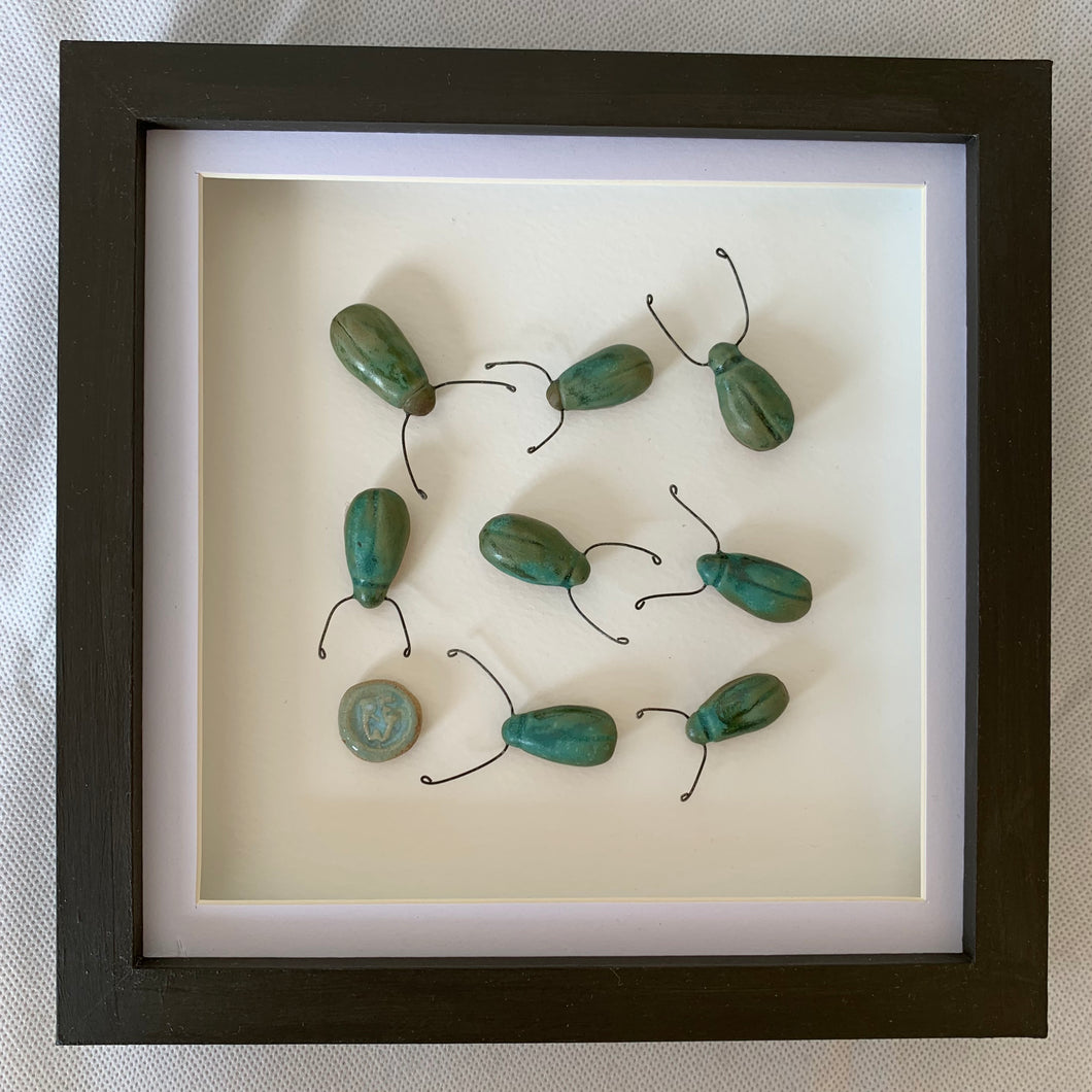 Chwilod gwyrdd lwcus / Luky jade beetles