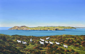 Defaid Enlli / Enlli Sheep