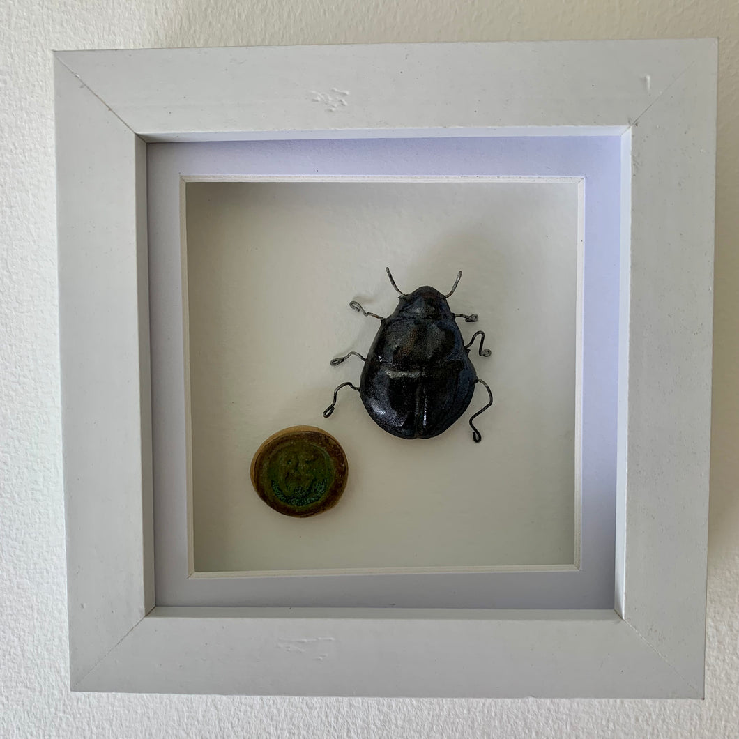 Doug y chwilen dail / Doug the Dung beetle
