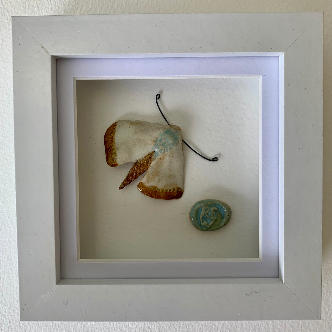 Nansi ffansi, y gwyfyn blaen brigyn / Fancy Nancy, the gold tipped Moth