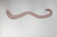 Load image into Gallery viewer, Byw fel Cath (Dod yn Arall) / Living Like a Cat (Becoming Other)
