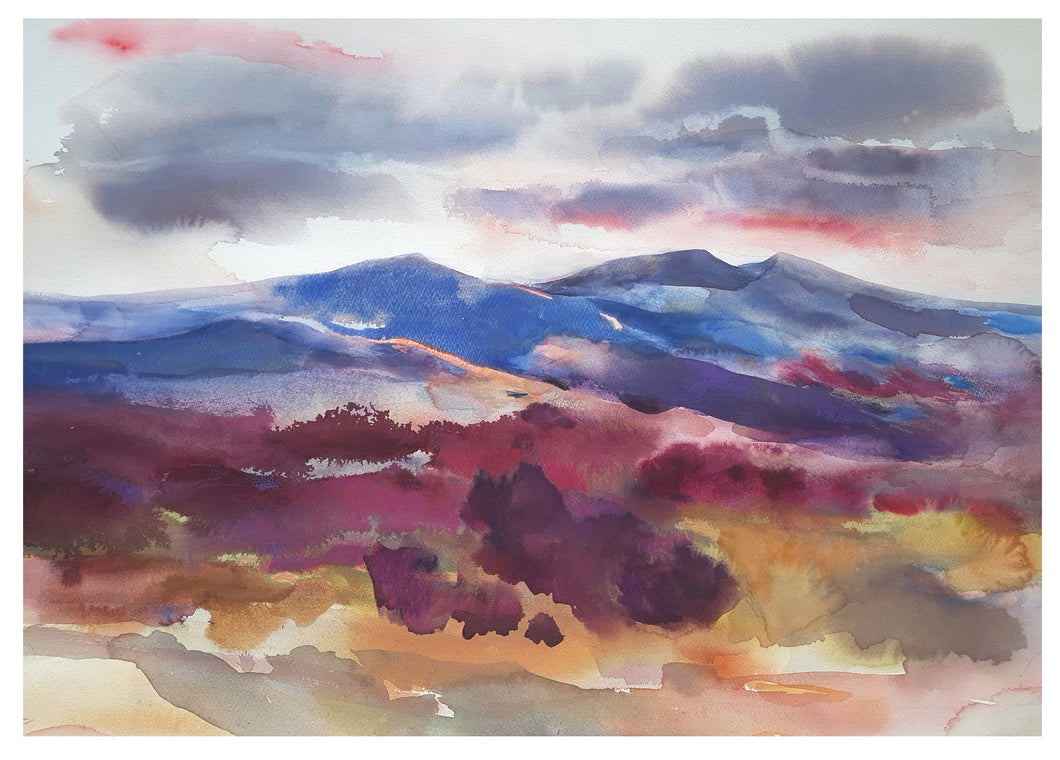 Golau Gyda’r Nos / Evening Light