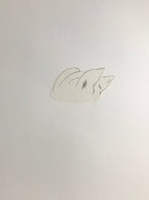 Load image into Gallery viewer, Bocs o Gathod/A Box of Cats - PAG / POA
