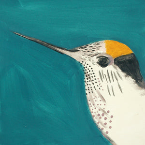 Samakear - Sïedn fflamgorun gwyrdd / Green-Backed Firecrown  (heb ffrâm/unframed)