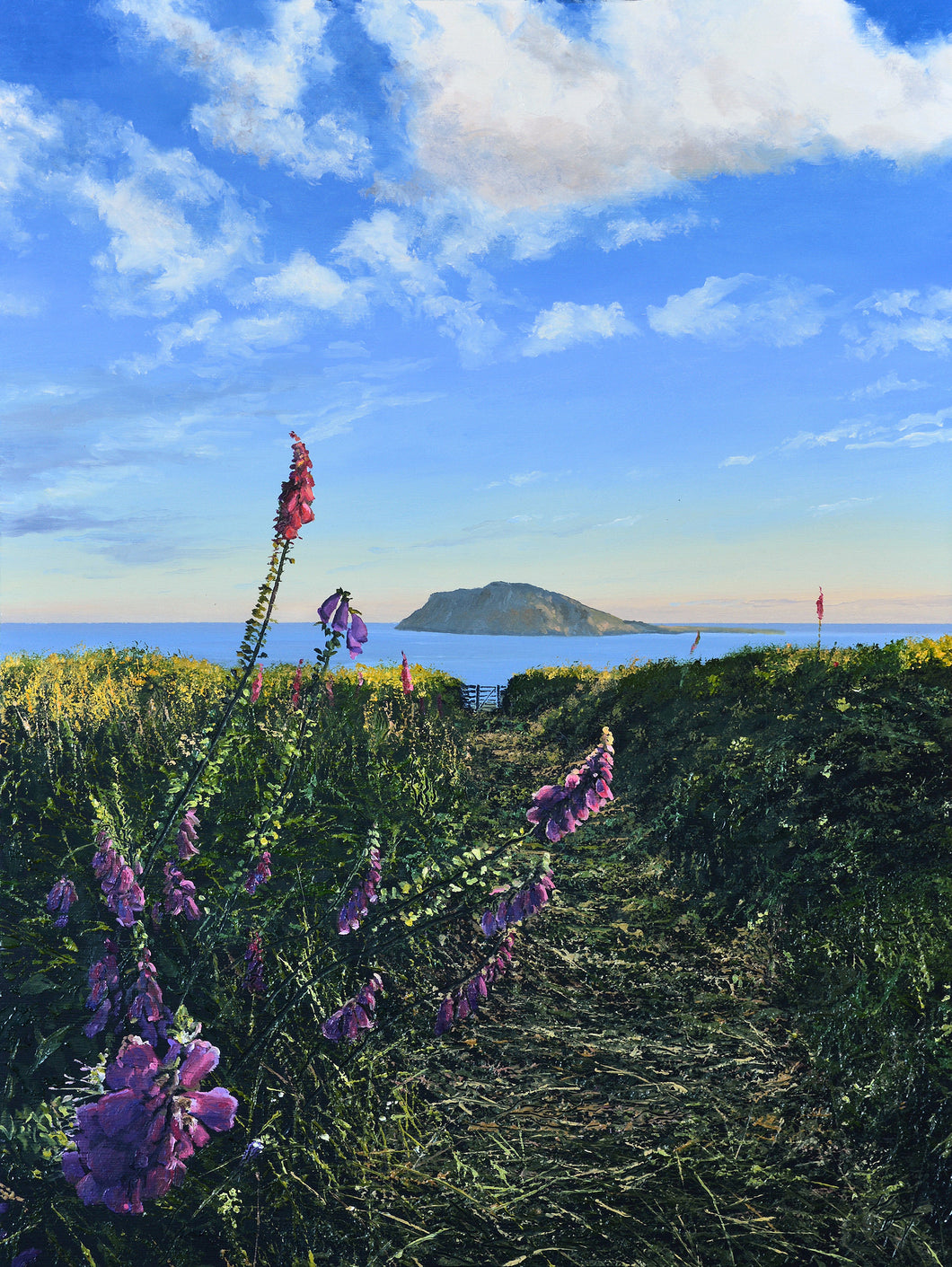 Bysedd y Cwn / Foxgloves
