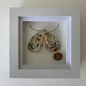 Gwyfyn Luna / Luna Moth