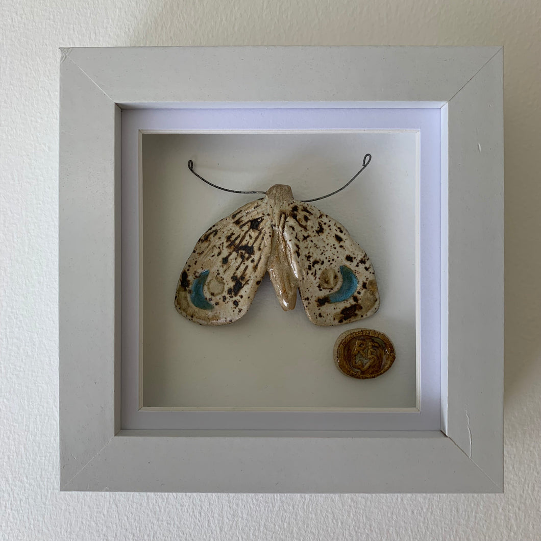 Gwyfyn Luna / Luna Moth