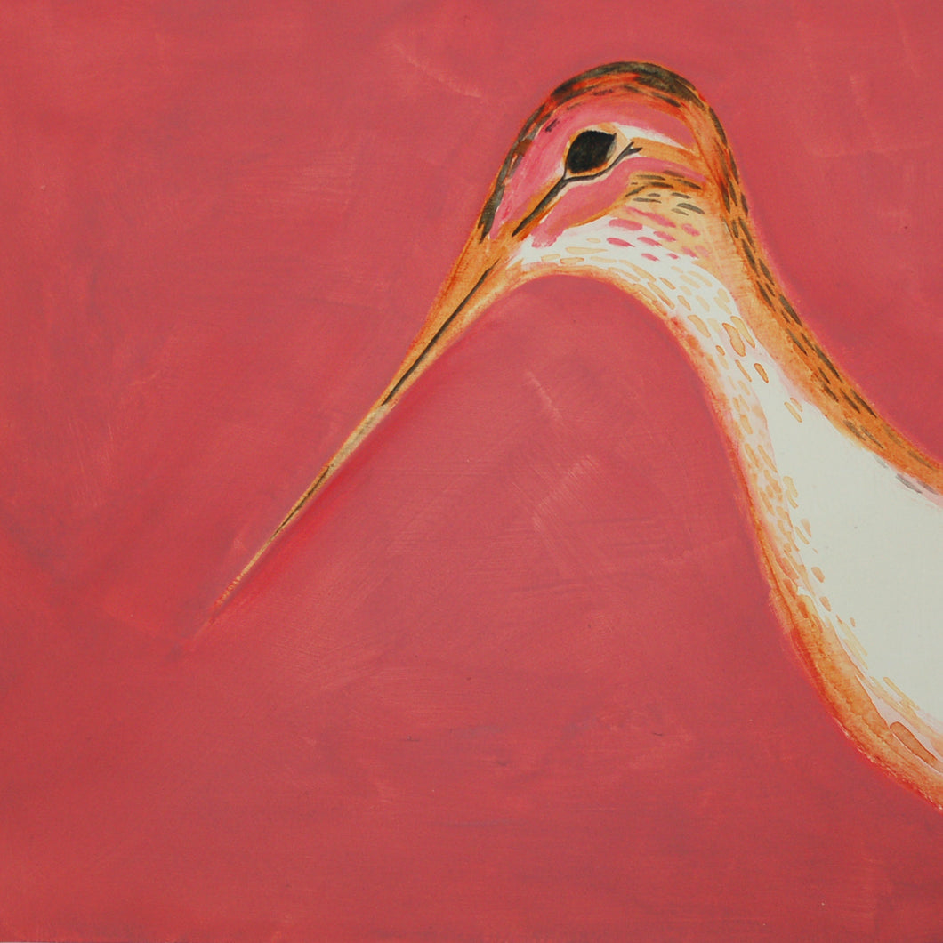 Shakoa - Common Snipe (heb ffrâm/unframed)