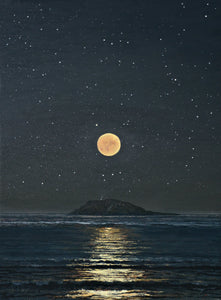 Breuddwyd o Enlli / Dream of Enlli