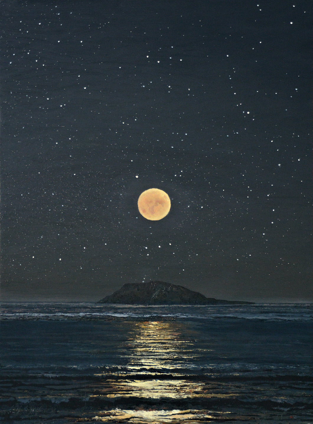 Breuddwyd o Enlli / Dream of Enlli