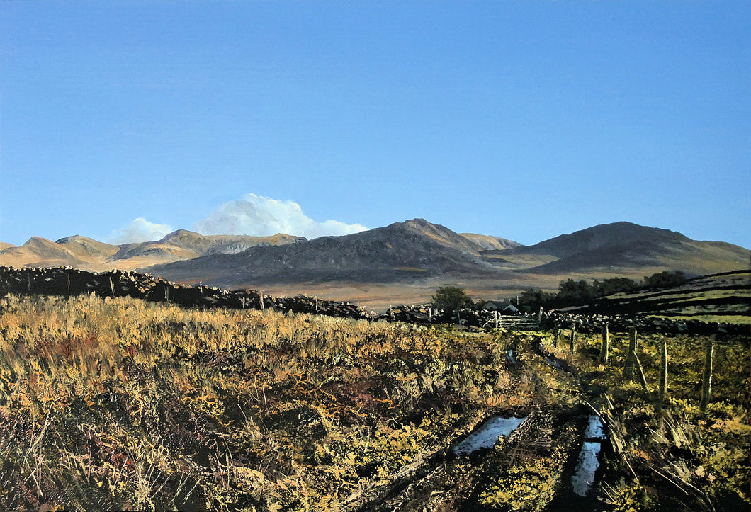 Ger Mynydd Llandegai / Near Mynydd Llandegai