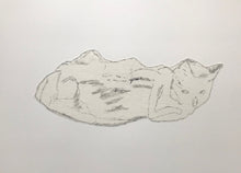Load image into Gallery viewer, Bocs o Gathod/A Box of Cats - PAG / POA
