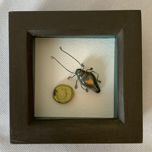 Sid y chwilen aflonydd / Sid the wiggly jig beetle