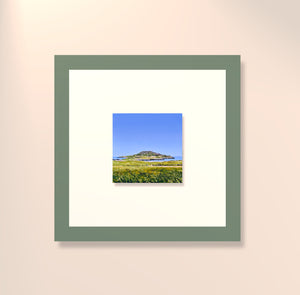 Mynydd Enlli