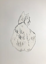 Load image into Gallery viewer, Bocs o Gathod/A Box of Cats - PAG / POA
