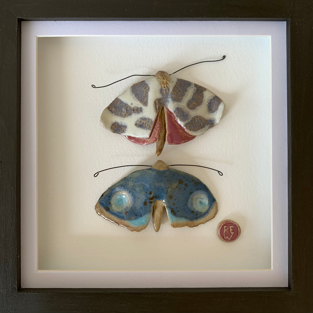 Paru gwyfynod I / Moth pairings I