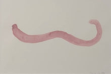 Load image into Gallery viewer, Byw fel Cath (Dod yn Arall) / Living Like a Cat (Becoming Other)
