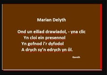 Load image into Gallery viewer, Marian Delyth - Englyn
