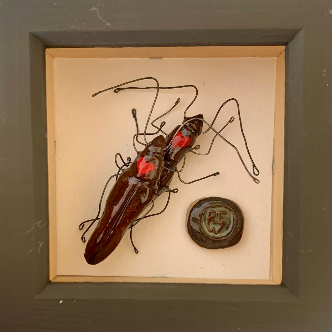 Carwriaeth y chwilod / Bonking beetles