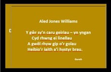 Load image into Gallery viewer, Aled - Englyn
