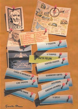 Load image into Gallery viewer, Bob Roberts
