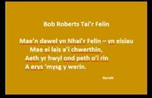 Load image into Gallery viewer, Bob Roberts - Englyn
