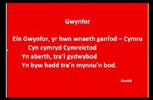 Load image into Gallery viewer, Gwynfor - Englyn
