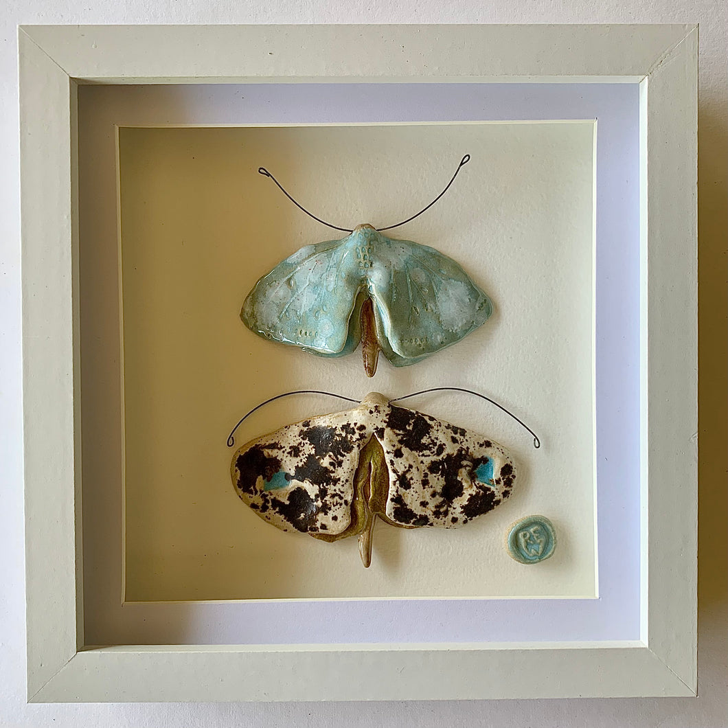 Paru gwyfynod II / Moth pairings II