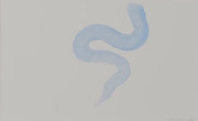 Load image into Gallery viewer, Byw fel Cath (Dod yn Arall) / Living Like a Cat (Becoming Other)
