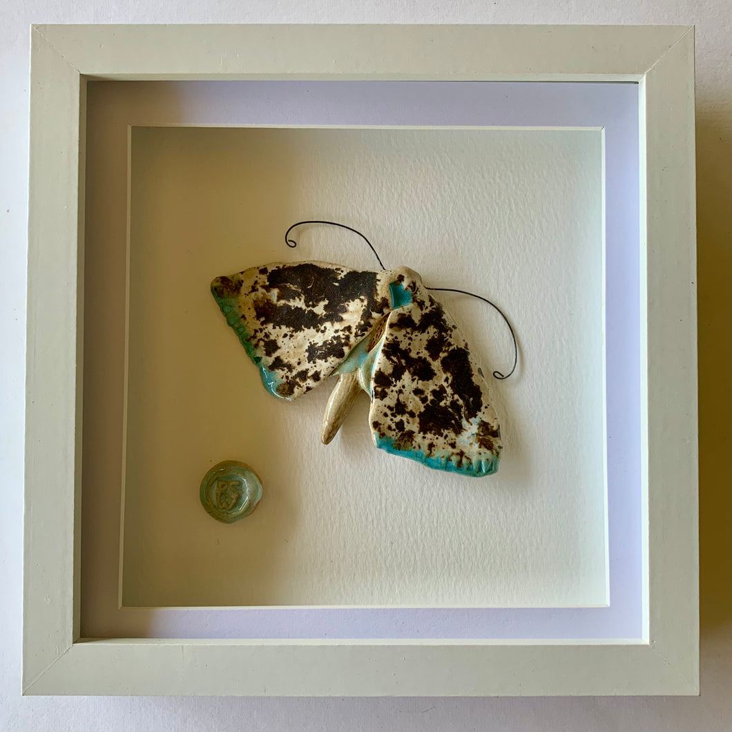 Gwyfyn coedwigol / Woodlander