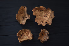 Load image into Gallery viewer, Llestri golau / Light vessels
