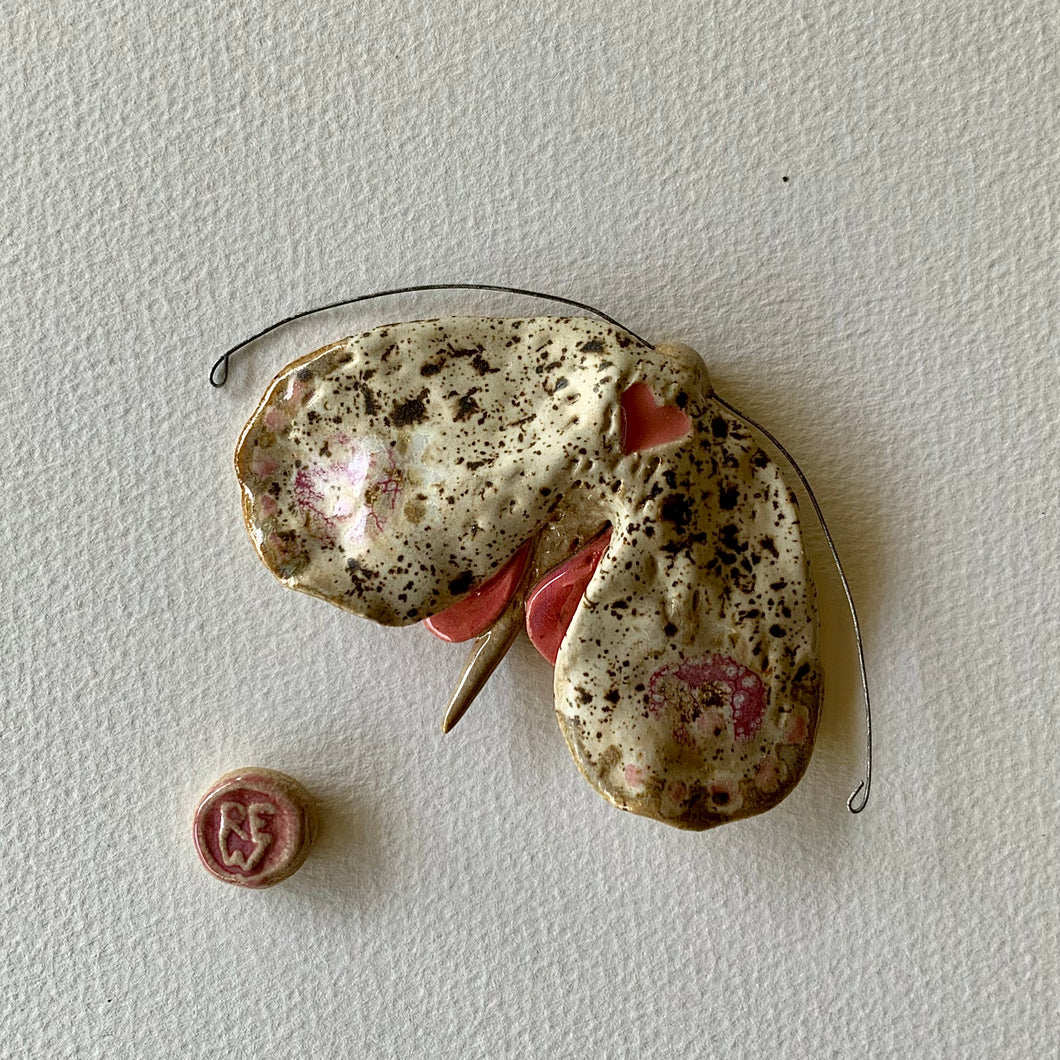 Gwyfyn cariad / Love moth