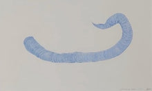 Load image into Gallery viewer, Byw fel Cath (Dod yn Arall) / Living Like a Cat (Becoming Other)
