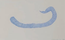 Load image into Gallery viewer, Byw fel Cath (Dod yn Arall) / Living Like a Cat (Becoming Other)
