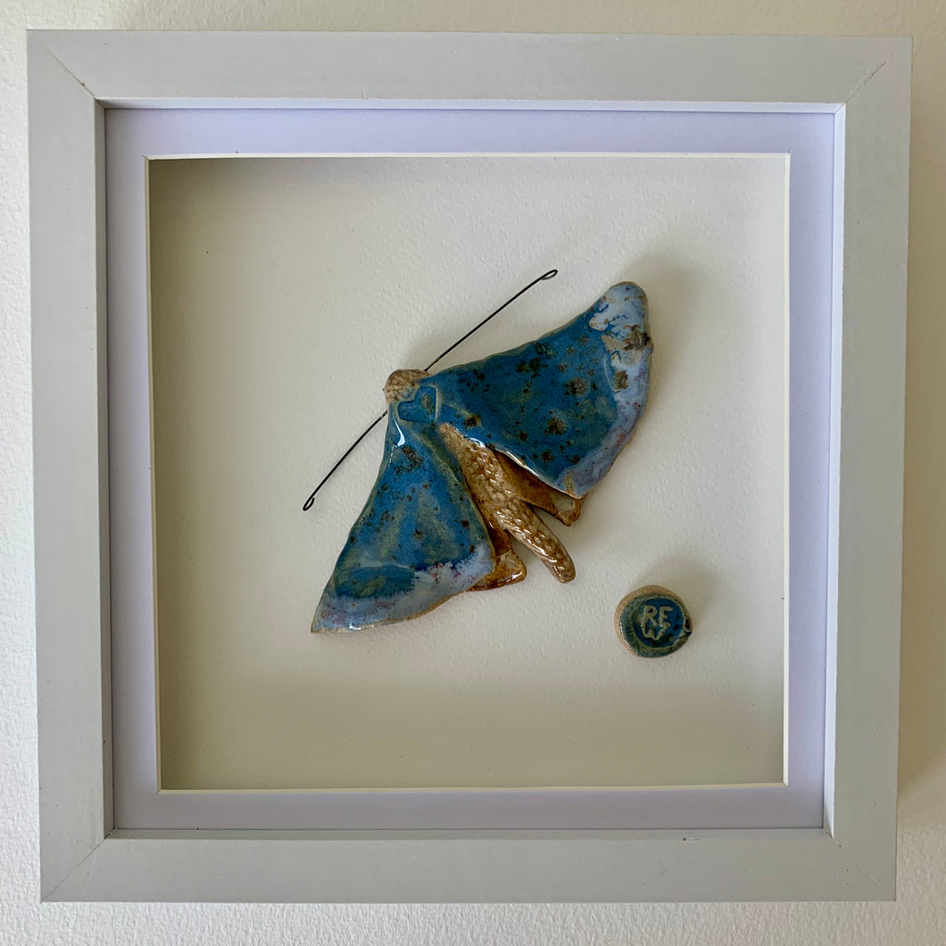 Hoff o'r lleuad / Moon lover