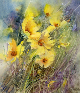 Cwmwl o Flodau Trogod / A Cloud of Coreopsis