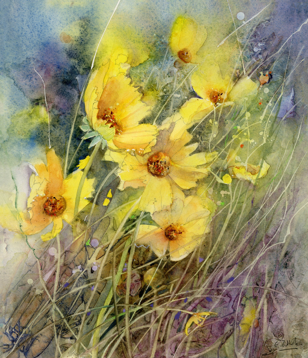 Cwmwl o Flodau Trogod / A Cloud of Coreopsis